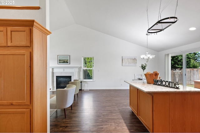 1157 Yew St, Junction City, OR 97448 - kitchen with vaulted ceiling, light stone counters, dark wood-style floors, a fireplace, and pendant lighting