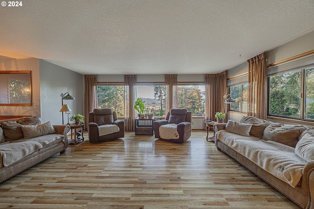 living room featuring light wood-type flooring and a textured ceiling