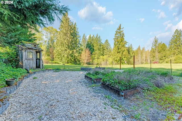 view of yard featuring a storage shed