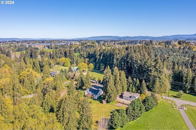 bird's eye view featuring a mountain view