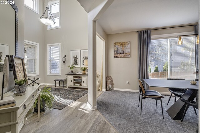 dining area with hardwood / wood-style flooring and a chandelier