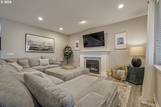 living room with a fireplace and light hardwood / wood-style flooring