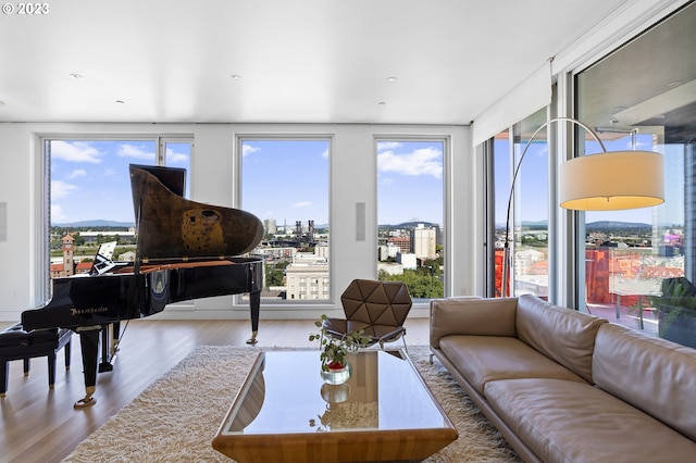 living room with hardwood / wood-style flooring