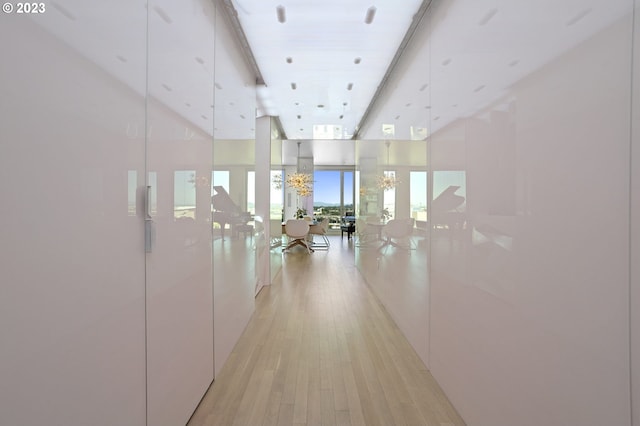 hall featuring expansive windows and light hardwood / wood-style flooring