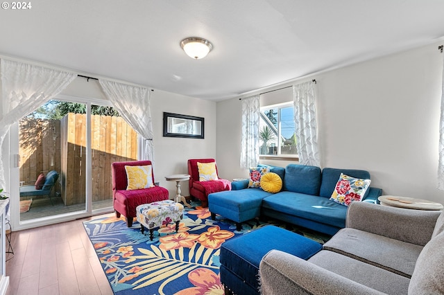 living room featuring hardwood / wood-style floors
