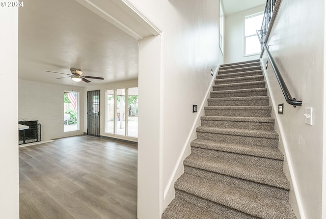 stairway featuring wood-type flooring and ceiling fan