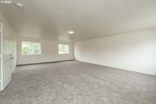 spare room featuring carpet flooring and a textured ceiling