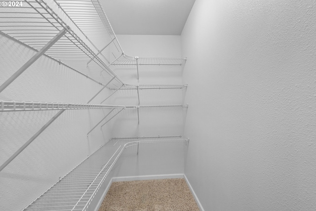 walk in closet featuring carpet flooring