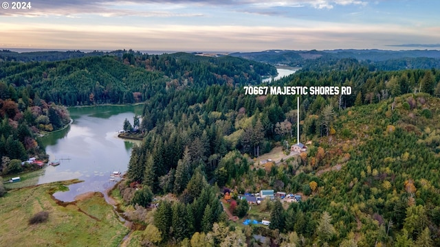 aerial view at dusk featuring a water view