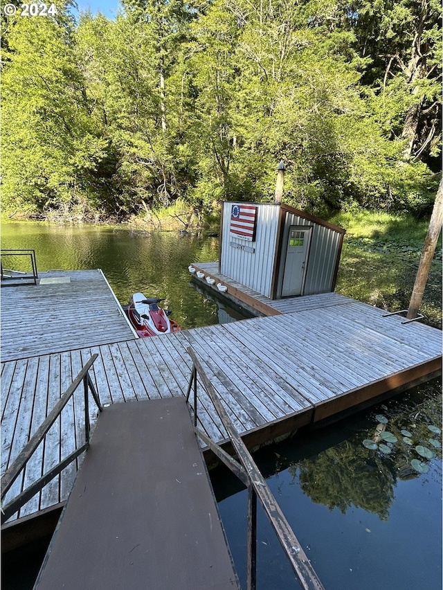 dock area with a water view