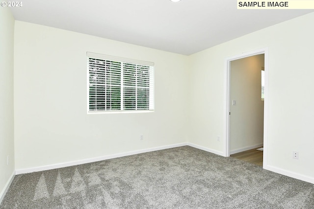 unfurnished room with carpet floors