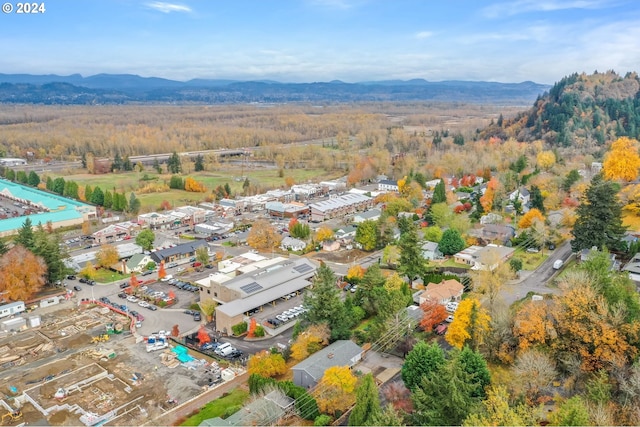 birds eye view of property featuring a mountain view