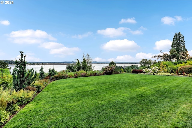 view of yard with a water view