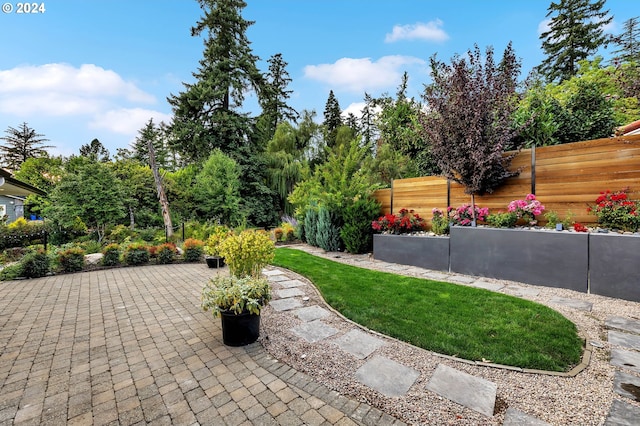 view of yard featuring a patio