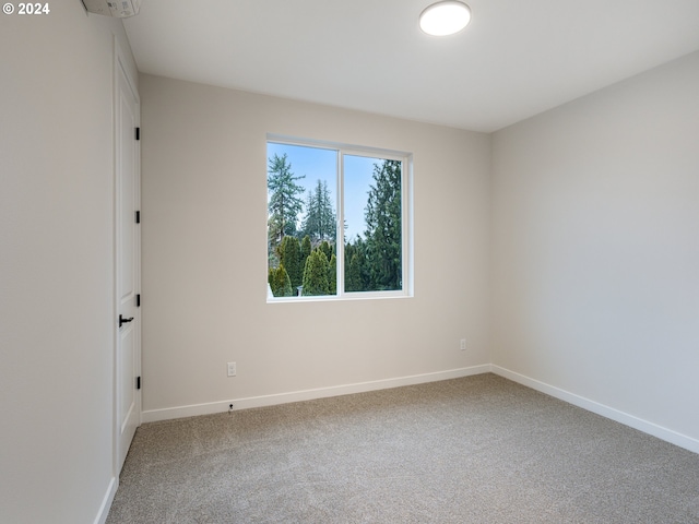 empty room featuring carpet floors