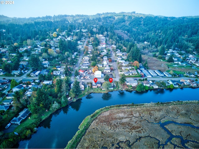 bird's eye view with a water view