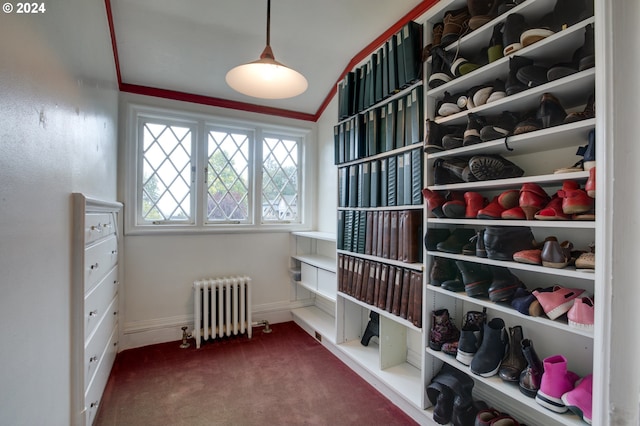 1709 NW Aspen Ave, Portland, OR 97210 - walk in closet featuring carpet floors and radiator heating unit