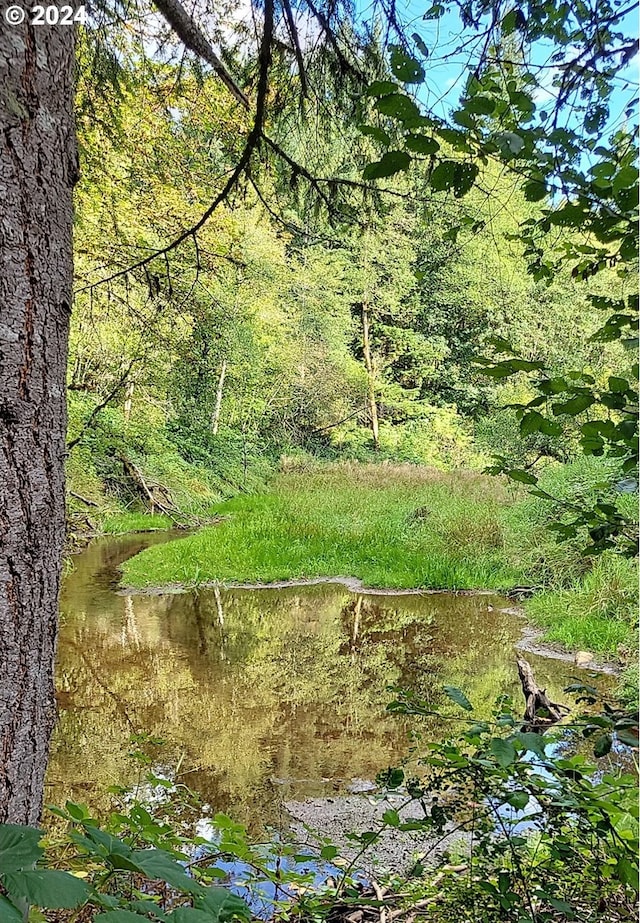 SE Gordon Creek Rd, Corbett, OR 97019
