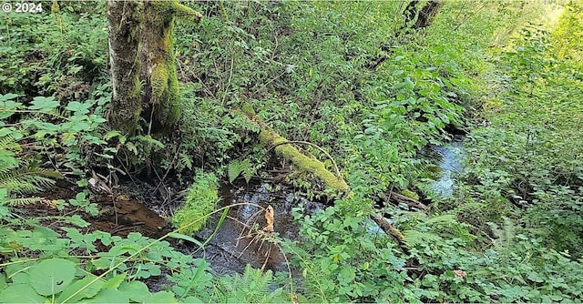 SE Gordon Creek Rd, Corbett, OR 97019