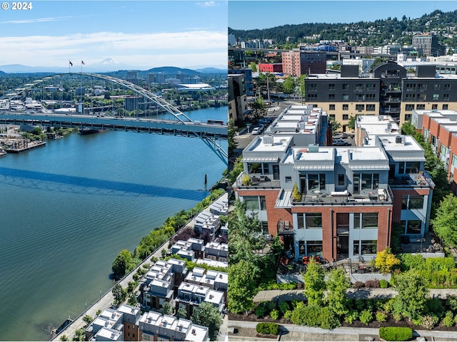 1714 NW Riverscape St, Portland, OR 97209 - view of urban area featuring a notable bridge and a water and mountain view