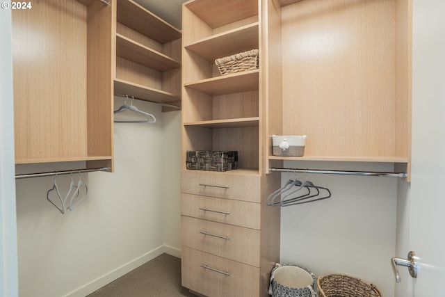 spacious closet featuring dark colored carpet