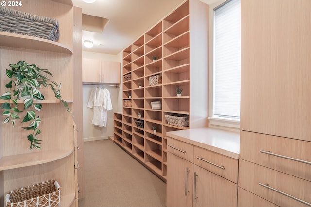 spacious closet with light colored carpet