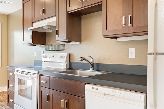 kitchen with hardwood / wood-style flooring, sink, and white appliances