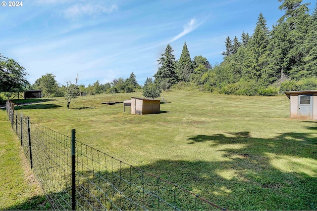 view of yard featuring a shed