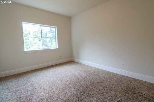 spare room featuring carpet flooring