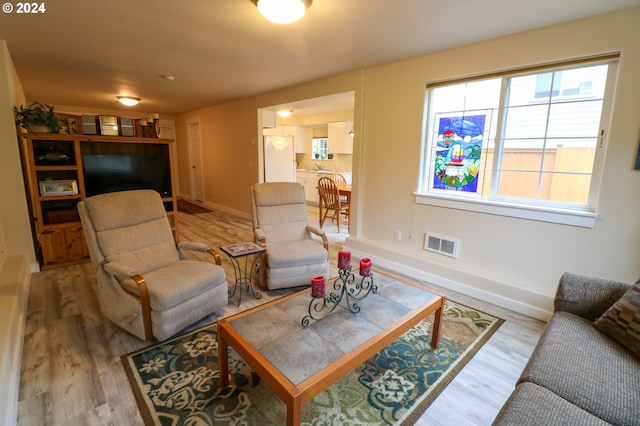 living room featuring wood-type flooring