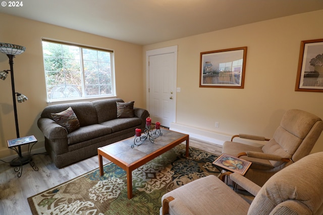 living room featuring light hardwood / wood-style flooring