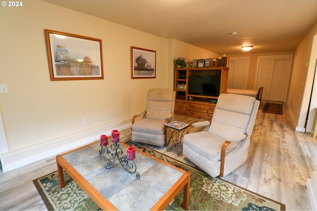 living room with light wood-type flooring