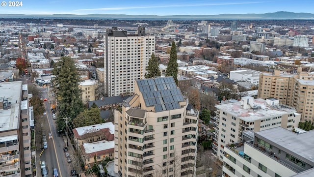 drone / aerial view featuring a mountain view