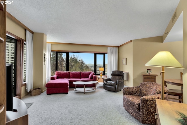 living room with carpet flooring, ornamental molding, and a textured ceiling