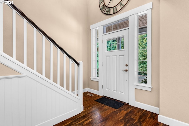 entryway featuring dark wood-type flooring and a wealth of natural light