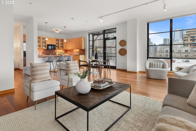 living room with light hardwood / wood-style floors