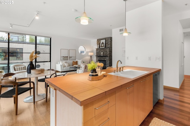 kitchen with dishwasher, sink, an island with sink, pendant lighting, and track lighting