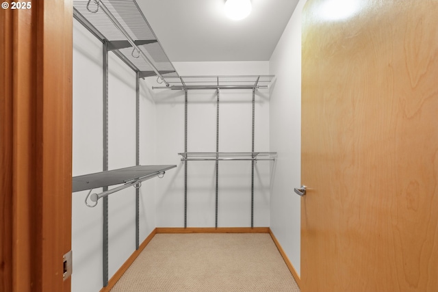 spacious closet with light carpet