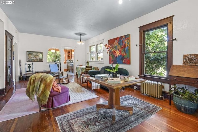 living room featuring radiator, plenty of natural light, and wood-type flooring