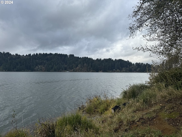 0 Potato Bottom Rd Unit 603, Lakeside, OR 97449