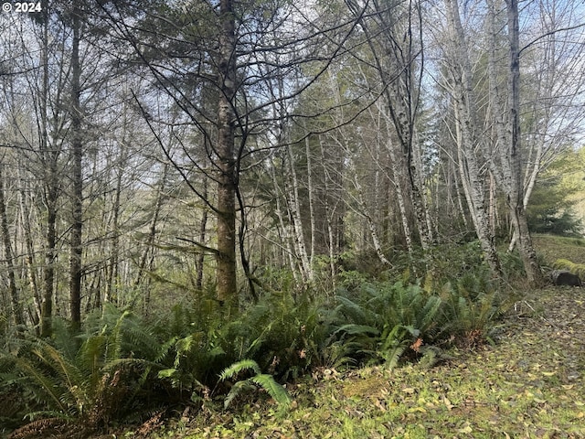 0 Potato Bottom Rd Unit 603, Lakeside, OR 97449