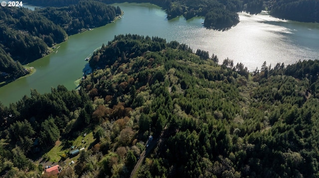 0 Potato Bottom Rd Unit 603, Lakeside, OR 97449