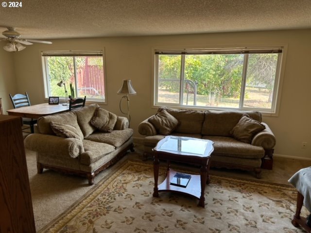 carpeted living room featuring a wealth of natural light, ceiling fan, and a textured ceiling