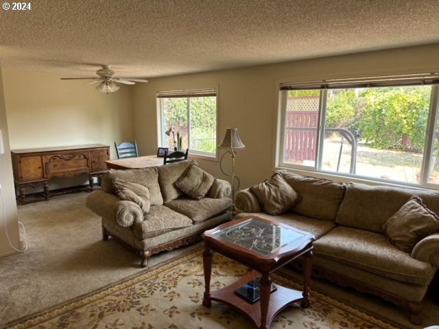 carpeted living room with ceiling fan and a textured ceiling