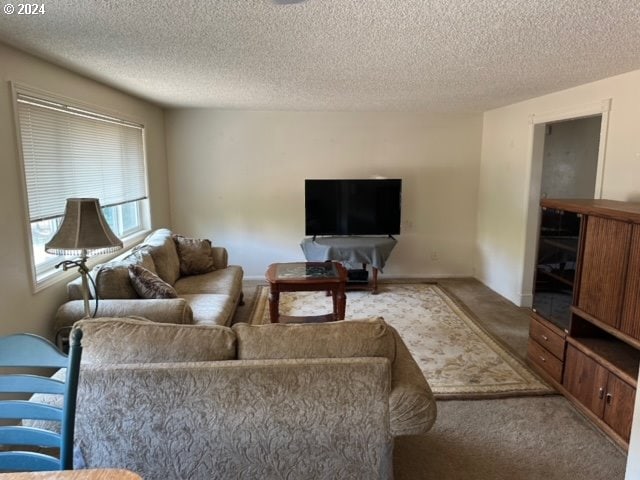 living room with carpet floors and a textured ceiling