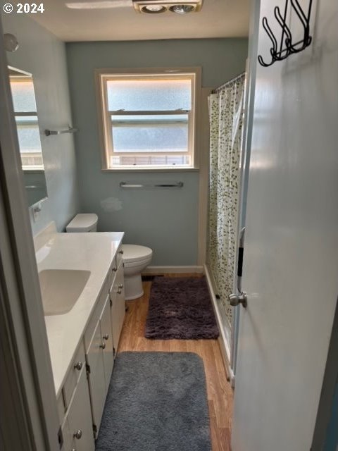 bathroom with wood-type flooring, a shower with curtain, vanity, and toilet