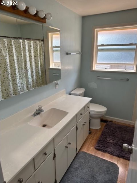 bathroom featuring wood-type flooring, vanity, and toilet