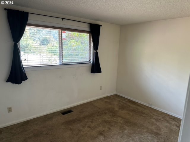 spare room with carpet and a textured ceiling