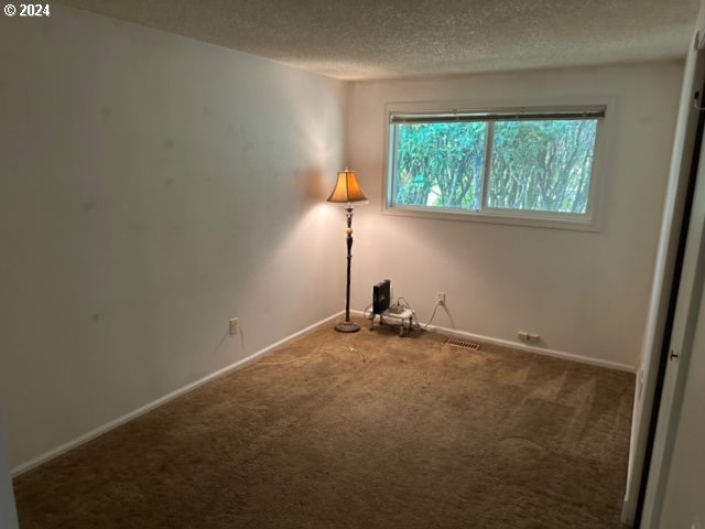 unfurnished room with carpet floors and a textured ceiling