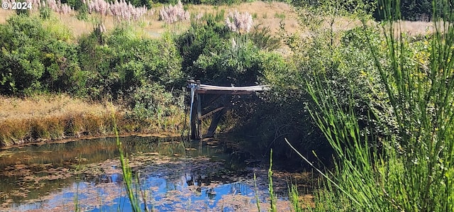 view of local wilderness featuring a water view